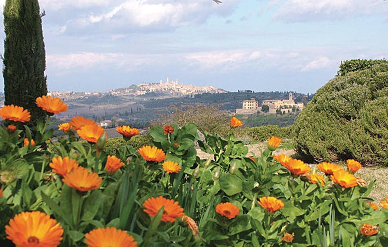 Agriturismo Fattoria Il Piano - Appartamento Aia - San Gimignano Exterior photo